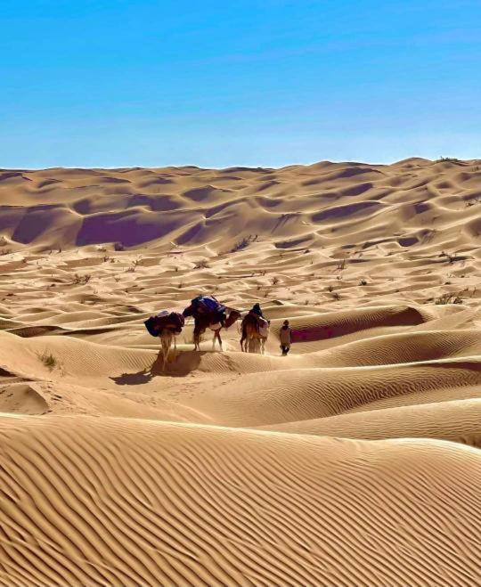 Grand Sud, La Maison De Sable Douz Bagian luar foto